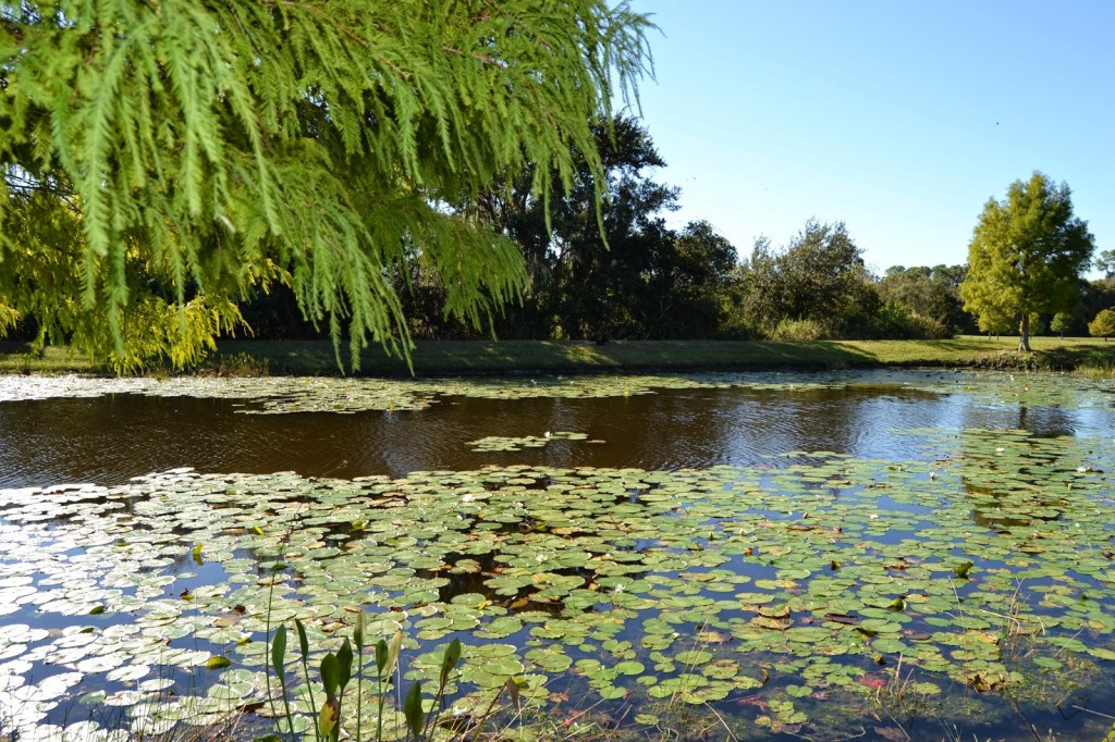 Summerfield Lake
